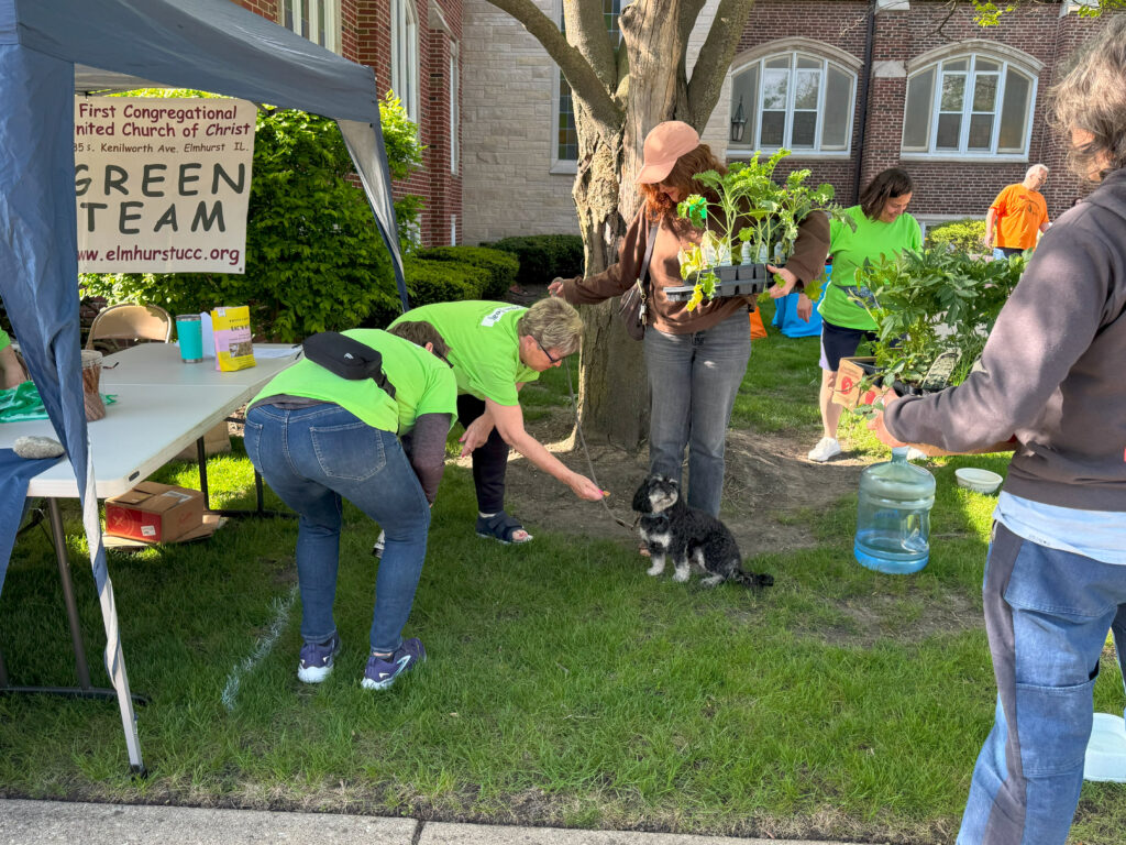 Green Garden Fair