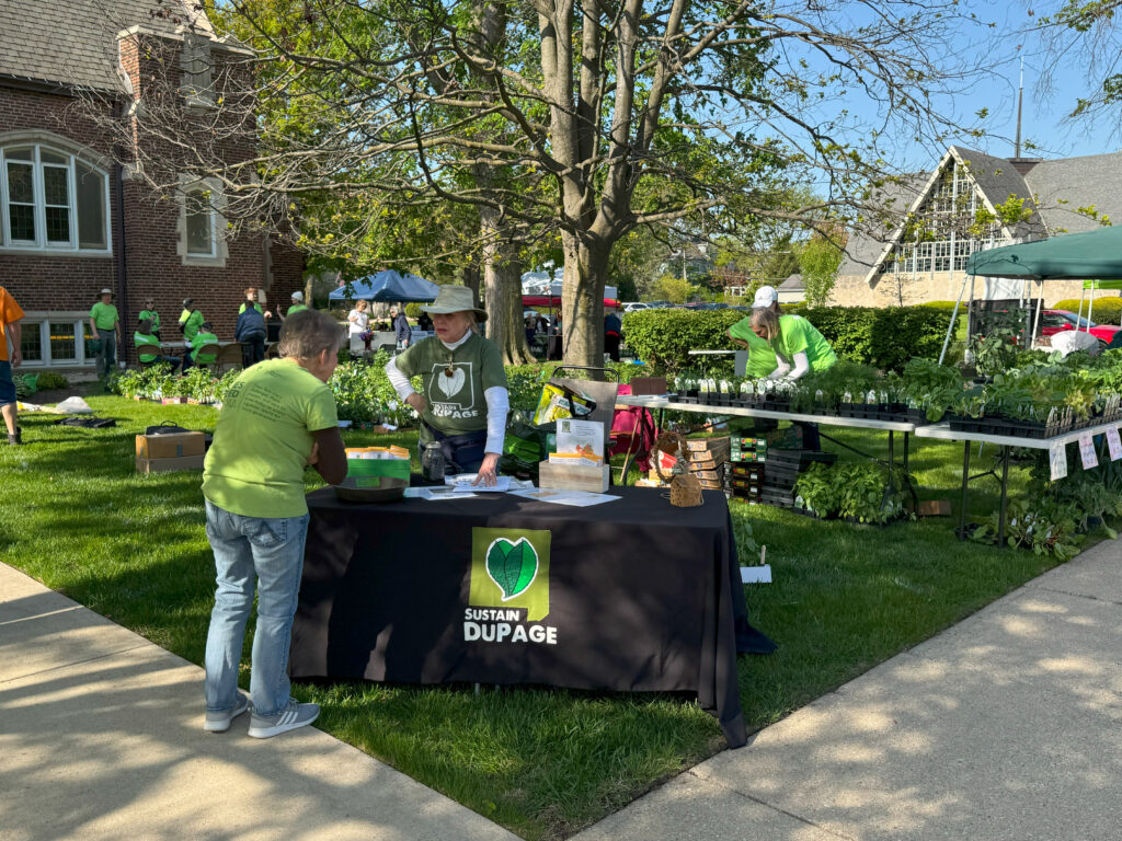 Green Garden Fair