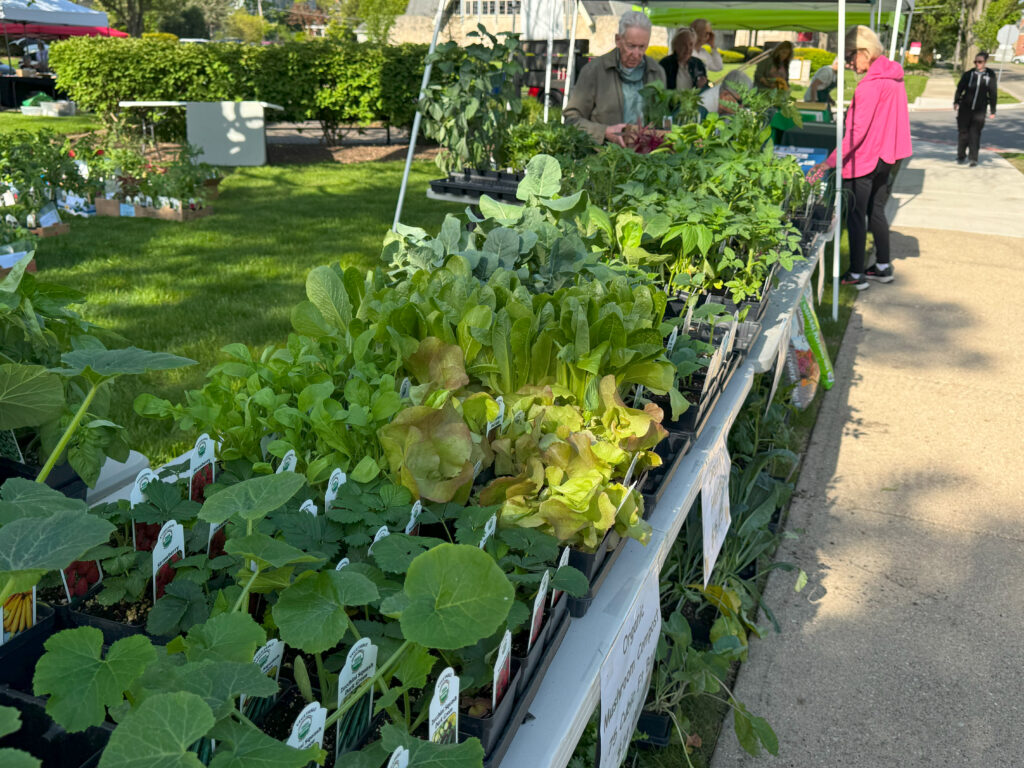 Green Garden Fair